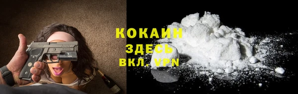 гашик Бородино