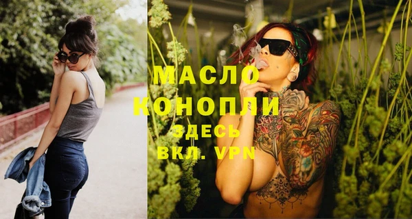 гашик Бородино