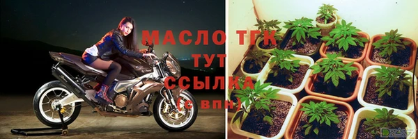 гашик Бородино