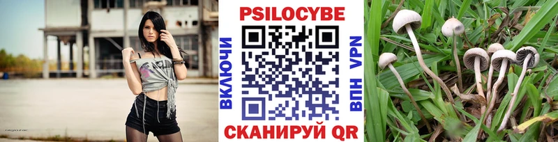 Купить где  Менделеевск  Галлюциногенные грибы ЛСД 
